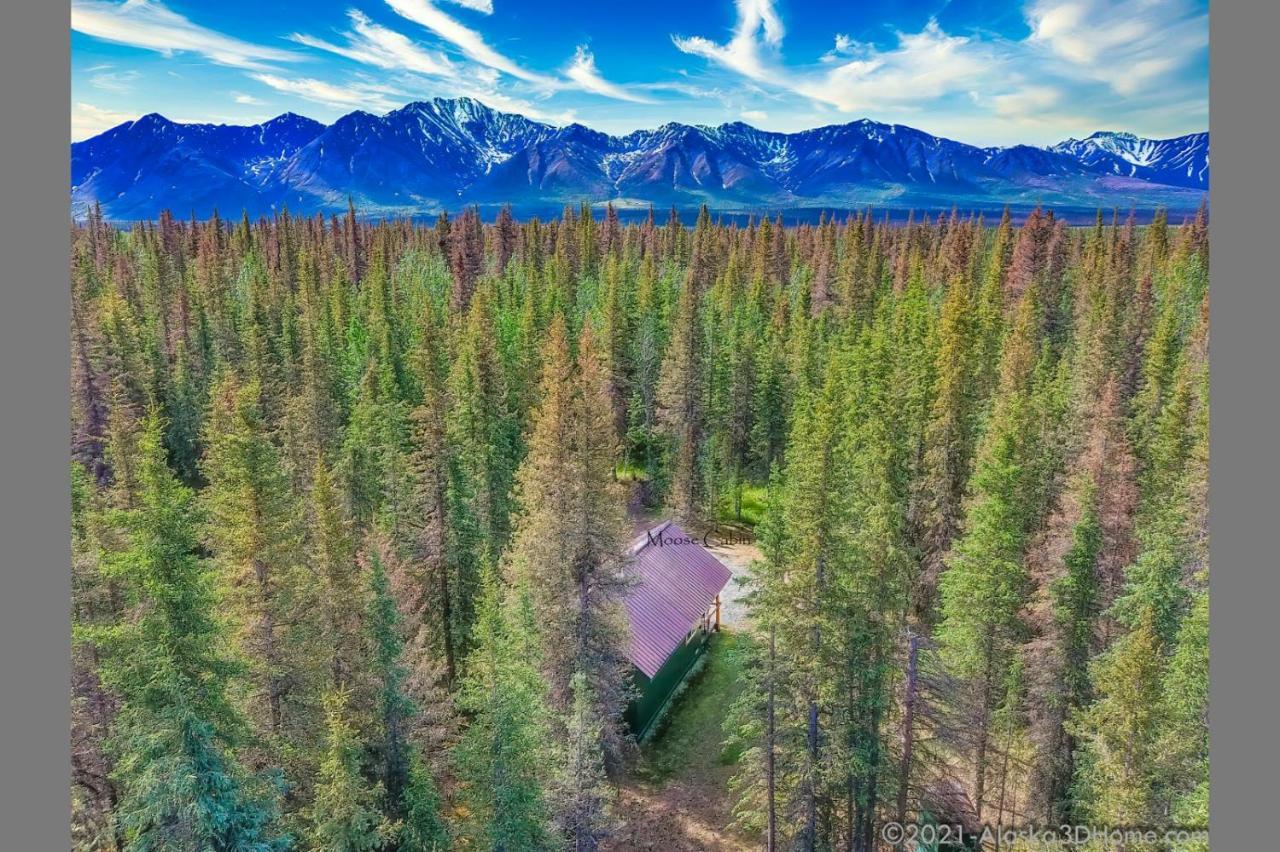 Backwoods Lodge Cantwell ภายนอก รูปภาพ