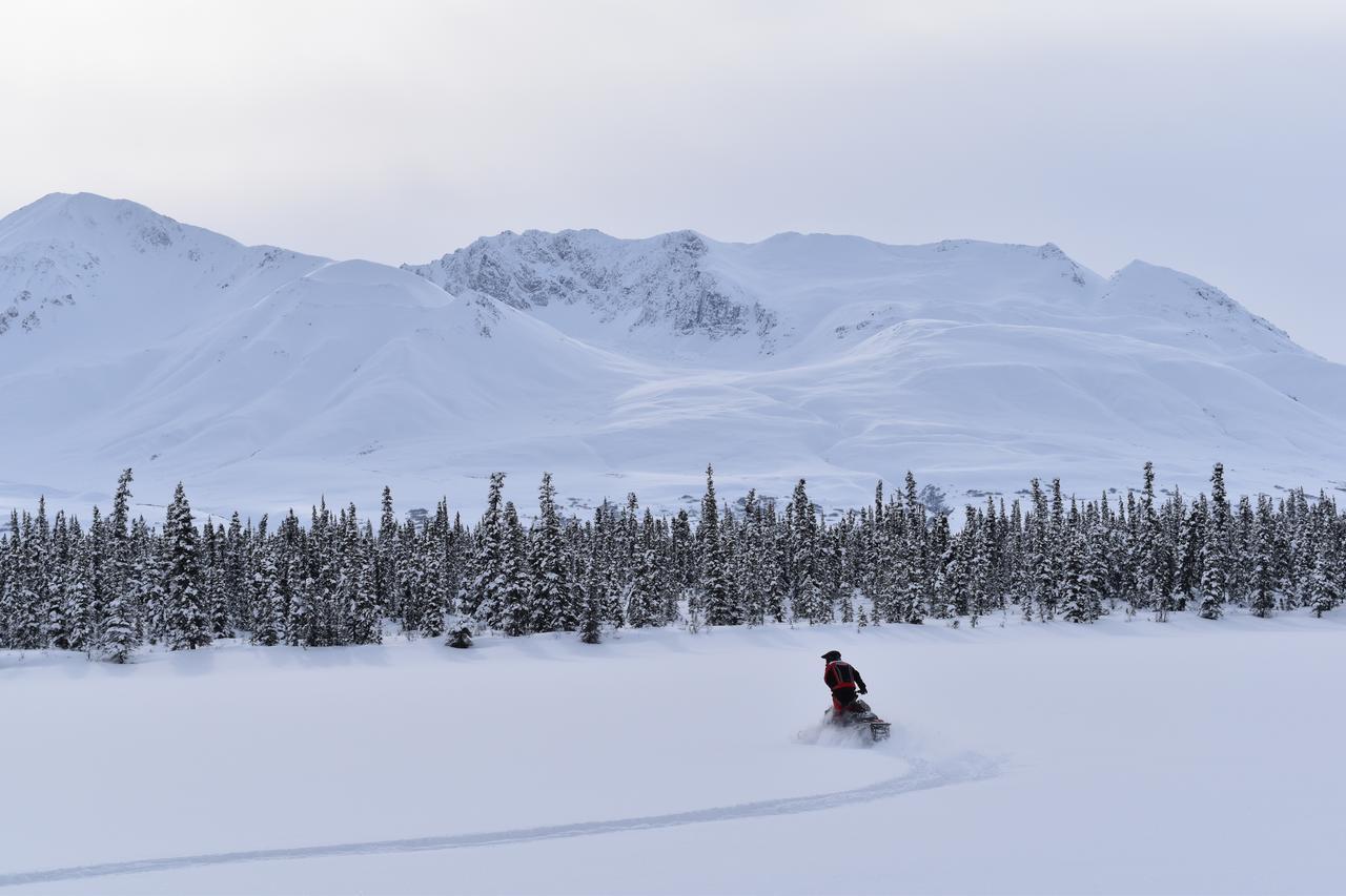 Backwoods Lodge Cantwell ภายนอก รูปภาพ